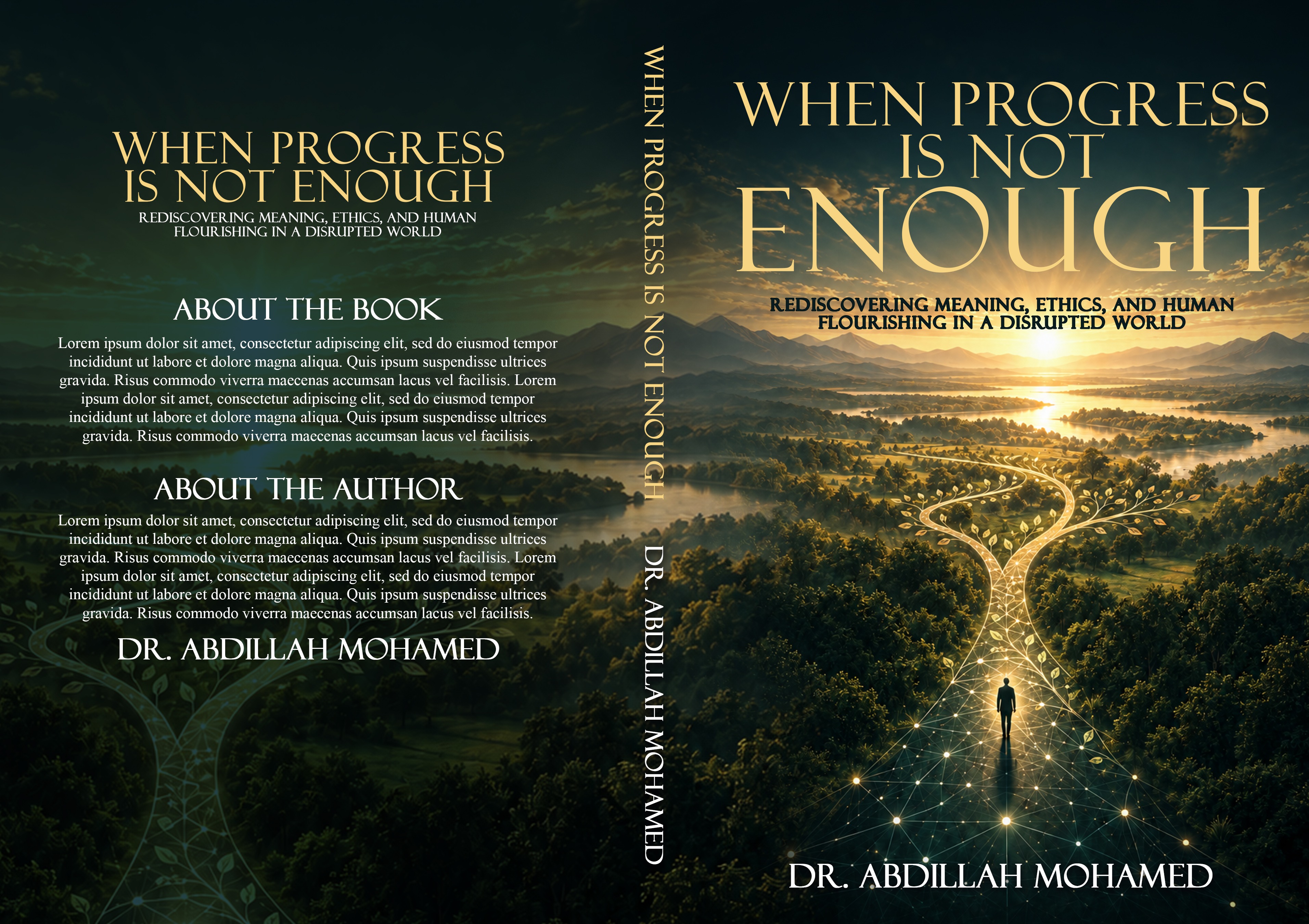 Cover of When Progress Is Not Enough by Dr. Abdillah Mohamed